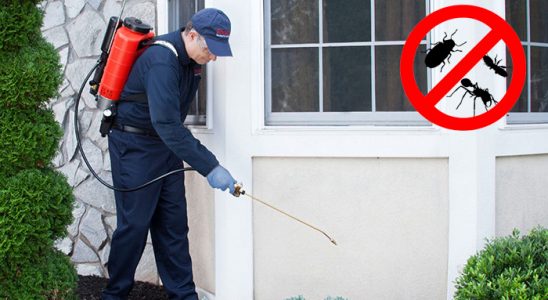 Keçiborlu Kemirgen İlaçlama böcek ilaçlama ve haşere kontrolü — ilaclama-tr.com